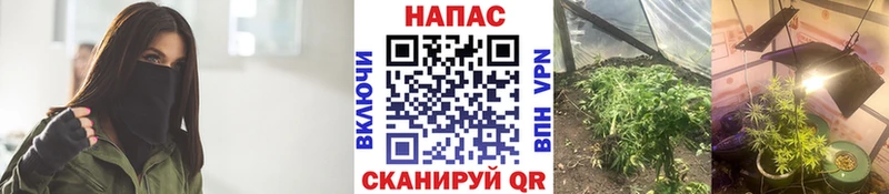 Бошки Шишки Ganja  наркошоп  Тайга 